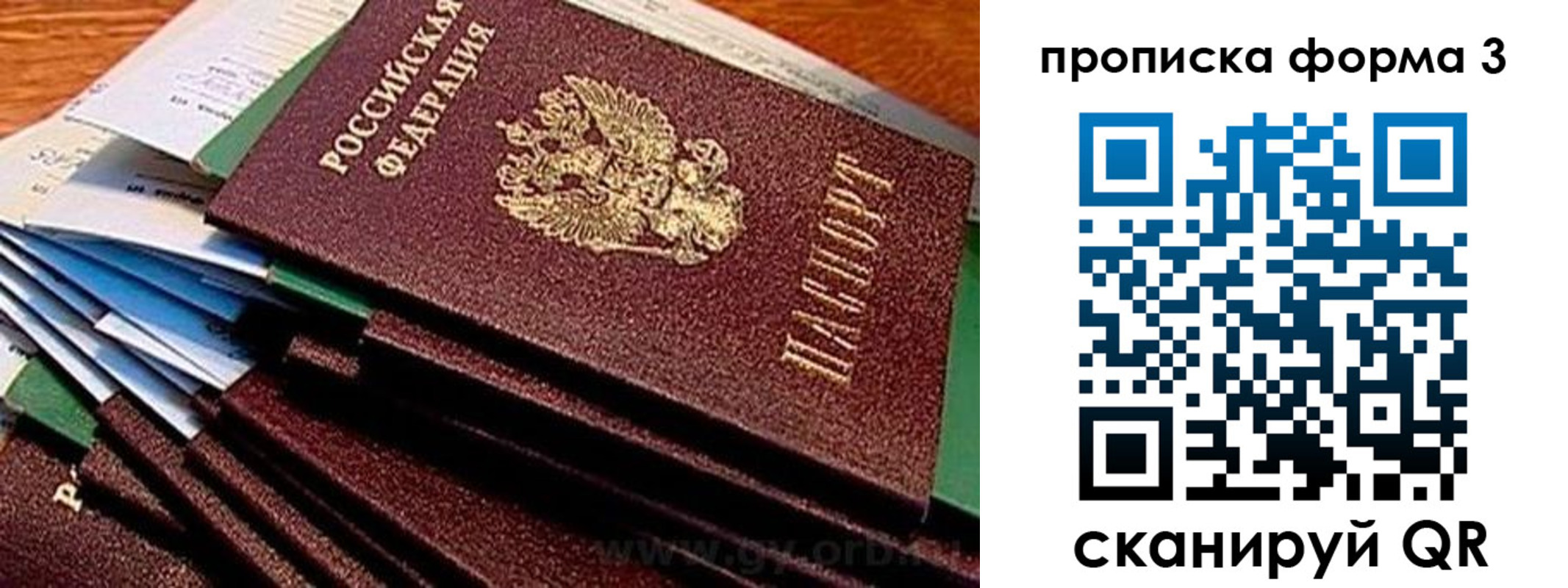 прописка иностранных граждан в Старой Руссе